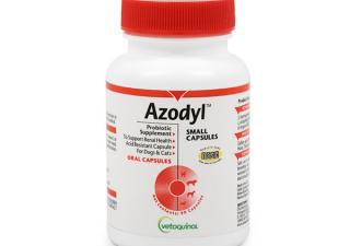 Azodyl supplement for kidney renal health in cats and dogs from Vetoquinol
