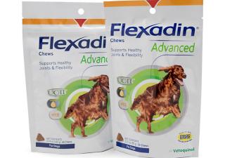 Flexadin Advanced chews for joint and immune health support in dogs from Vetoquinol