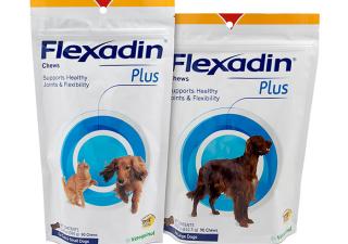Flexadin Plus chews for joint health in dogs and cats from Vetoquinol