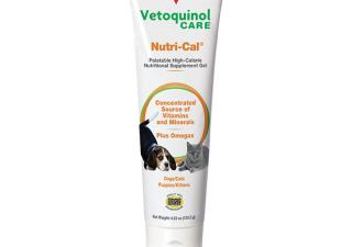 Nutri-Cal high-calorie vitamin supplement for dogs and cast from Vetoquinol