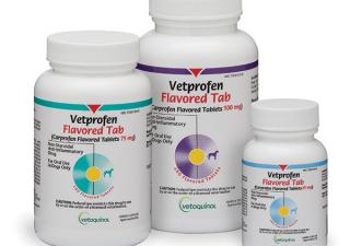 Vetprofen pain management tablets and caplets with carprofen for dogs with osteoarthritis. From Vetoquinol.