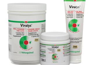 Viralys L-lysine supplement for immune system health in cats from Vetoquinol